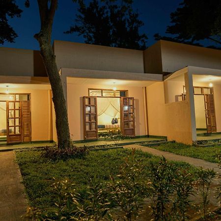 Cycad Entebbe Guest House Eksteriør bilde